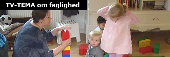 dagplejeres faglighed 